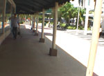 pic3