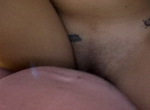 pic11